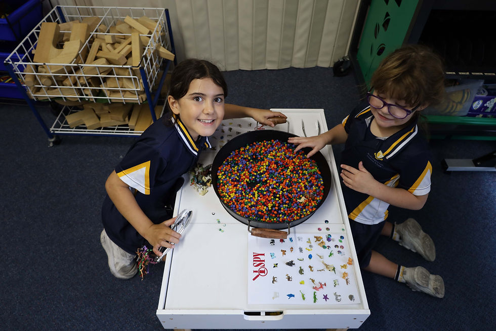 Preppies Find Their Sisters 🫶