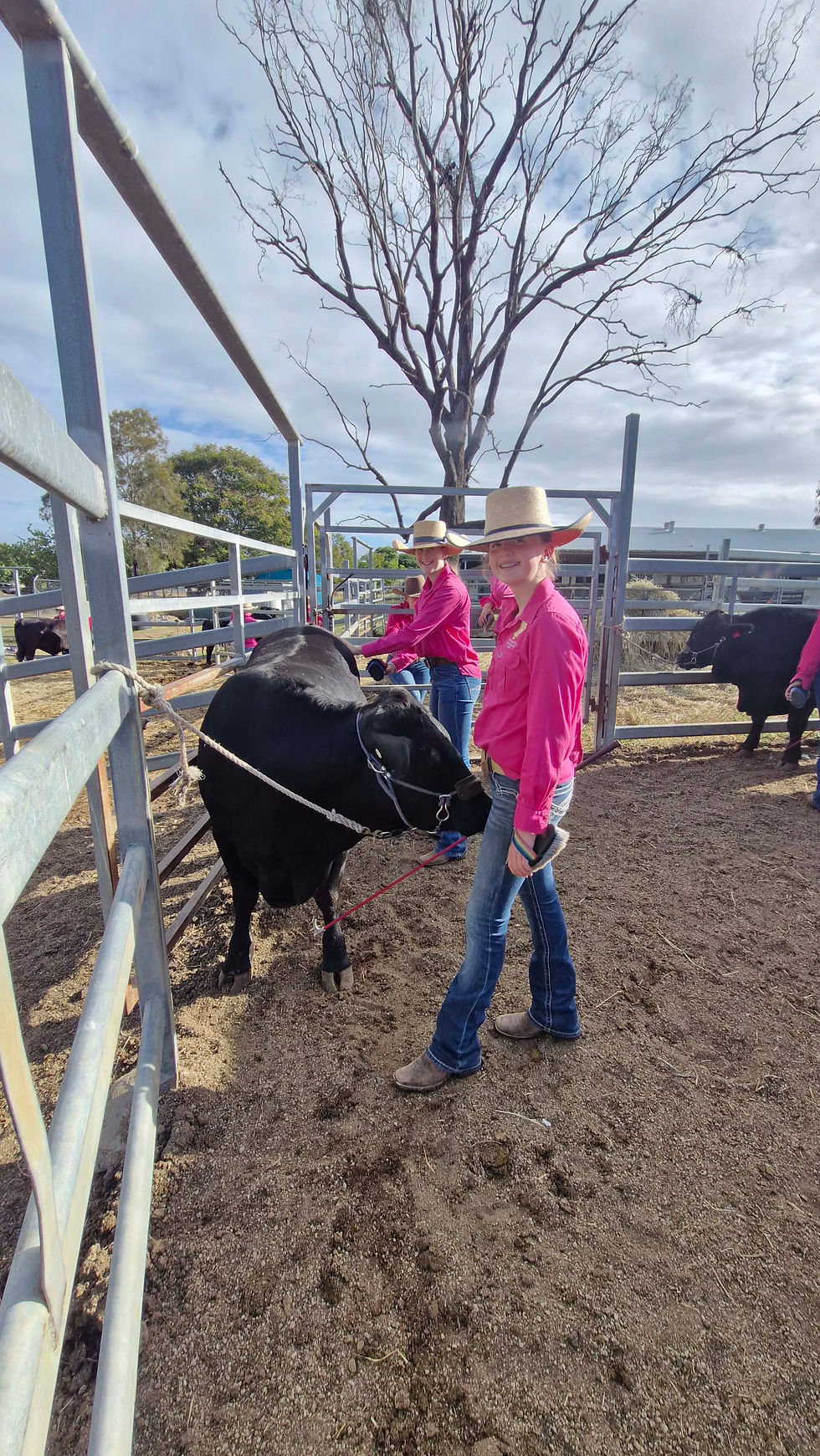 Cattle Partners