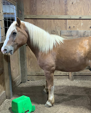 blake 1_edited_edited.jpg