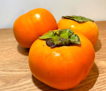 jirogaki syohin image.jpg