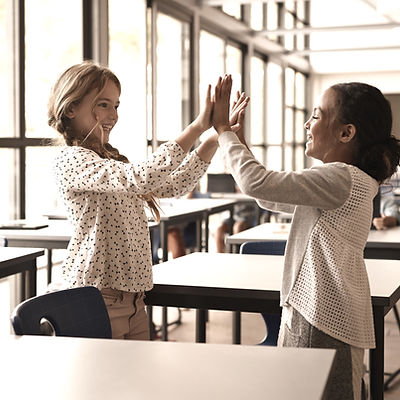 Special Education Consultant Services