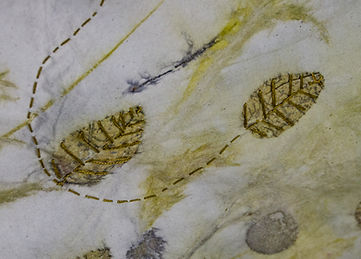 wildlands leaf stitch  (1 of 1).jpg