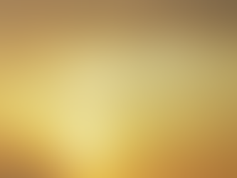 Early rising of birds