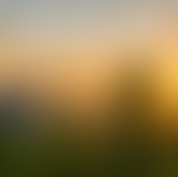 Sustainable Cities: Lessons from the World's Greenest Urban Centers