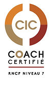 Certification Coach Consultant