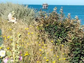 La douce #colorimétrie été