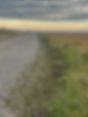 IMG_5946.jpeg