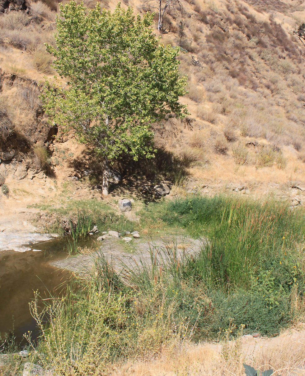 Myths and Facts: Dams and water in California