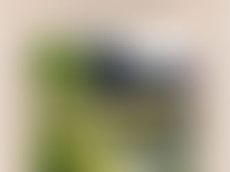 Next Del Puerto Canyon Community Clean Up: August 19th!