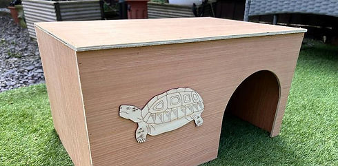 Wooden box with turtle design