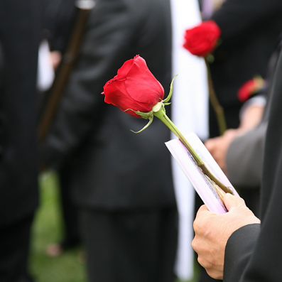 A close-up of a person in a black suit holding a red rose and a pamphlet