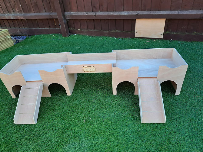 Guinea Pig Shelter