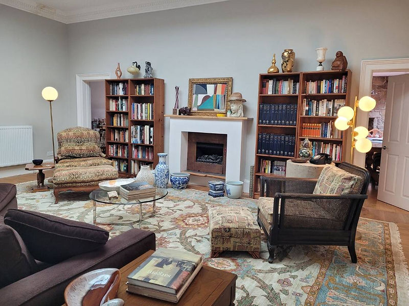 Cozy living room with bookshelves, a fireplace and rug