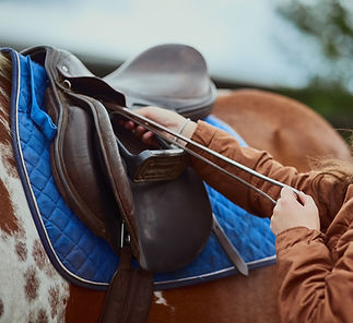 a person fastening saddle on horse