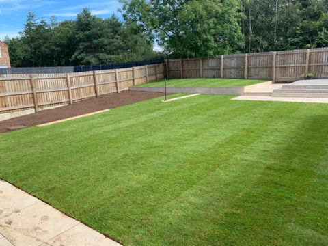 Freshly mowed green lawn