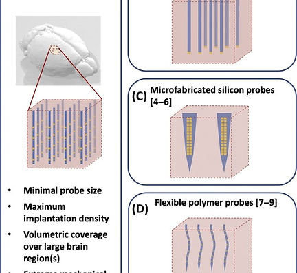 21. Spikes to Pixels: Camera Chips for Large-scale Electrophysiology