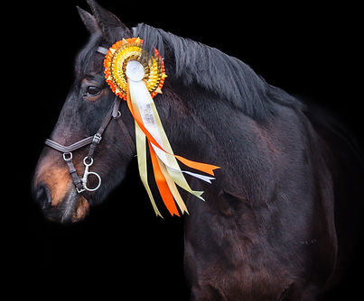 Stephanie (24 of 26).jpg