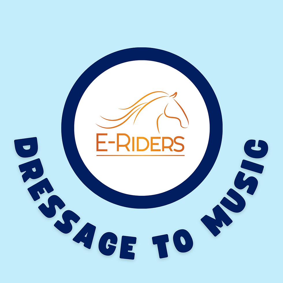 bd-dtm-intro-august-new-e-riders