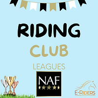 E Riders ENTER | E-riders Online Dressage