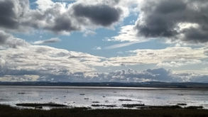 Living Waters 1 - Ocean