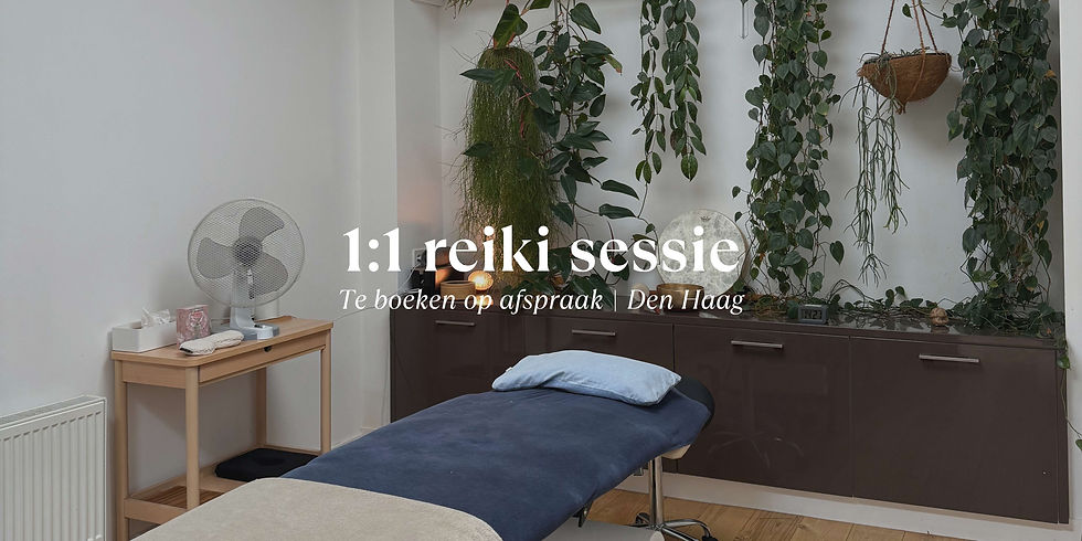 1:1 reiki sessie 𖤓
