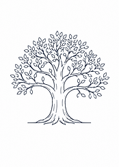 icon for evolve stage of how we work