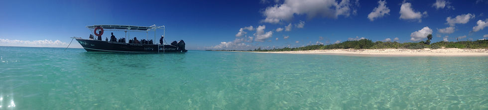 panorama dive boat
