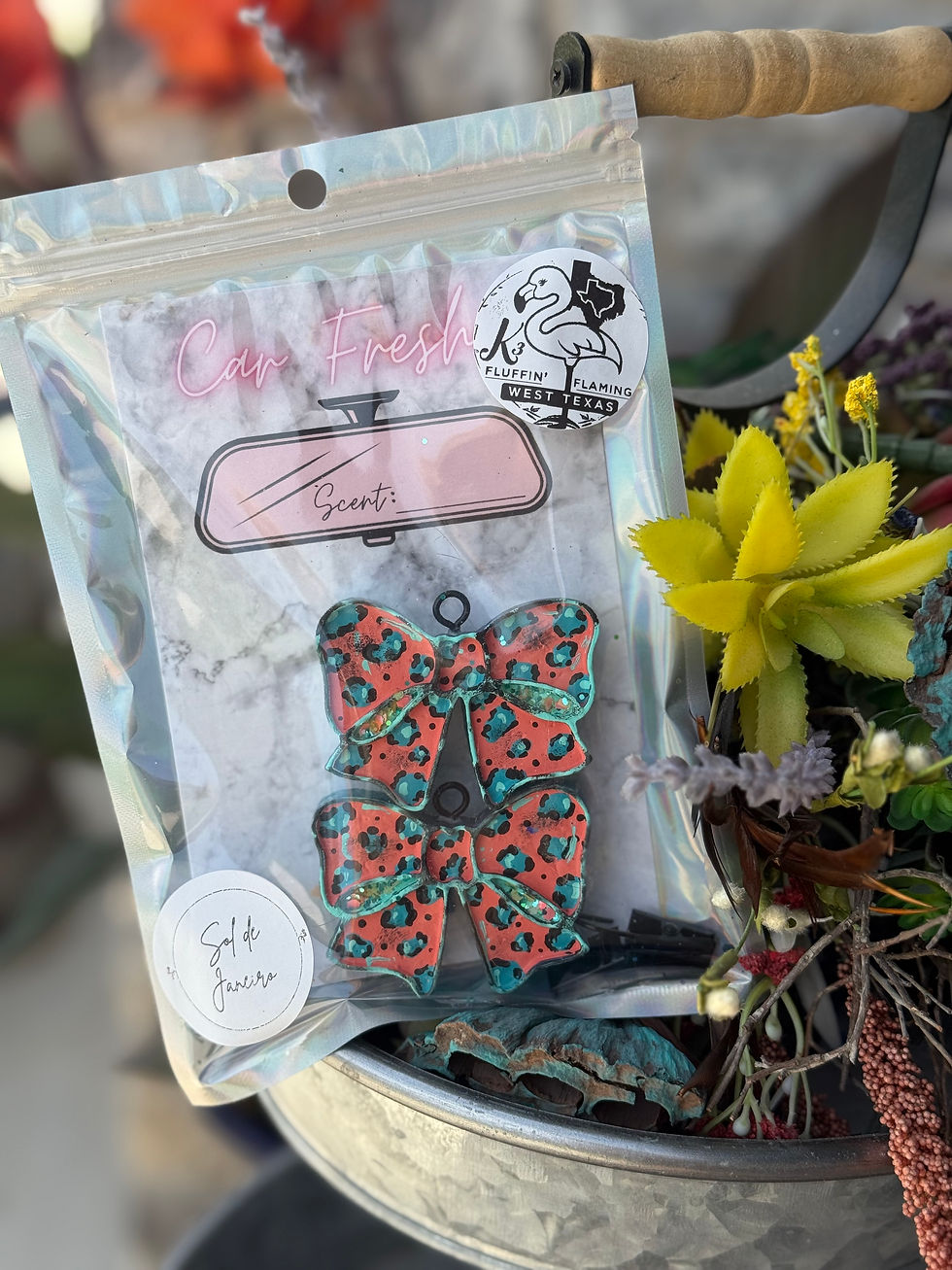 Coral and Turquoise Bows Vent Clips:  Sol de Janeiro
