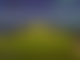 Årsmøtet ga mandat til å etablere golfsimulator