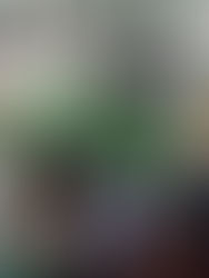 The Baguio Ukay Ukay