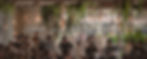 Commandante Cup Banner.jpg