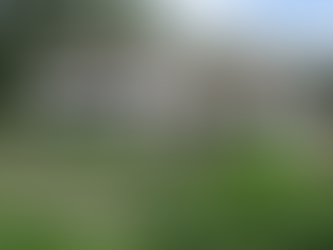 Rockingham in December