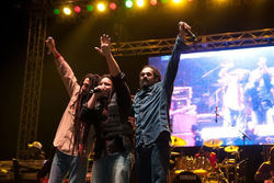 Miami Reggae Festival