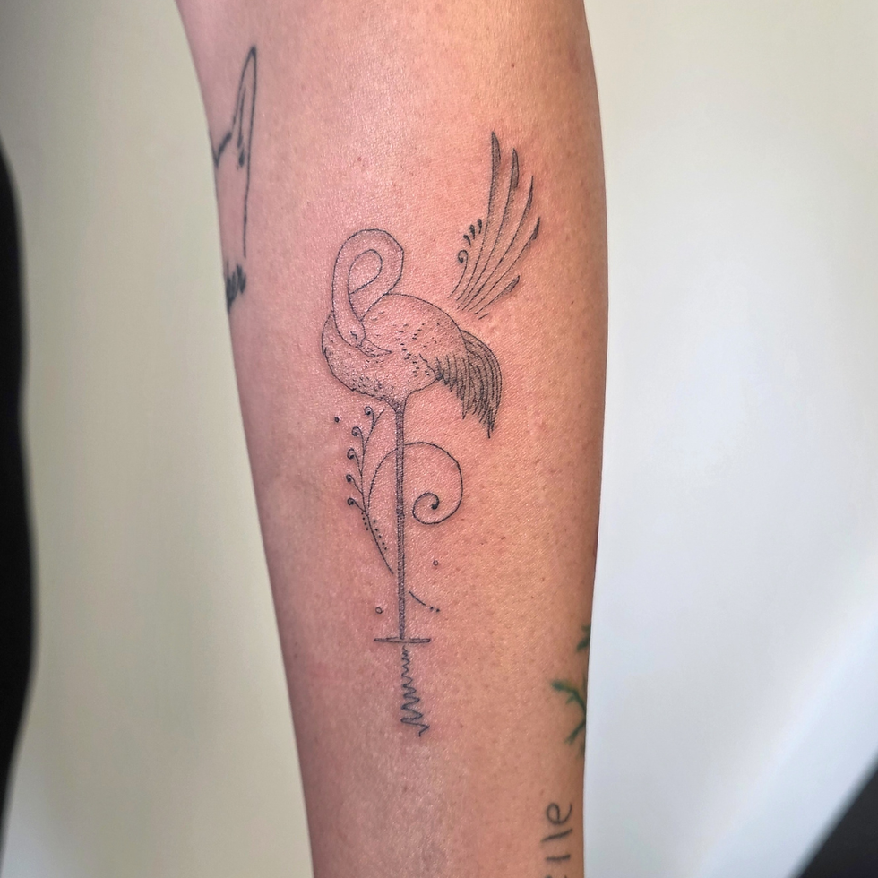 29