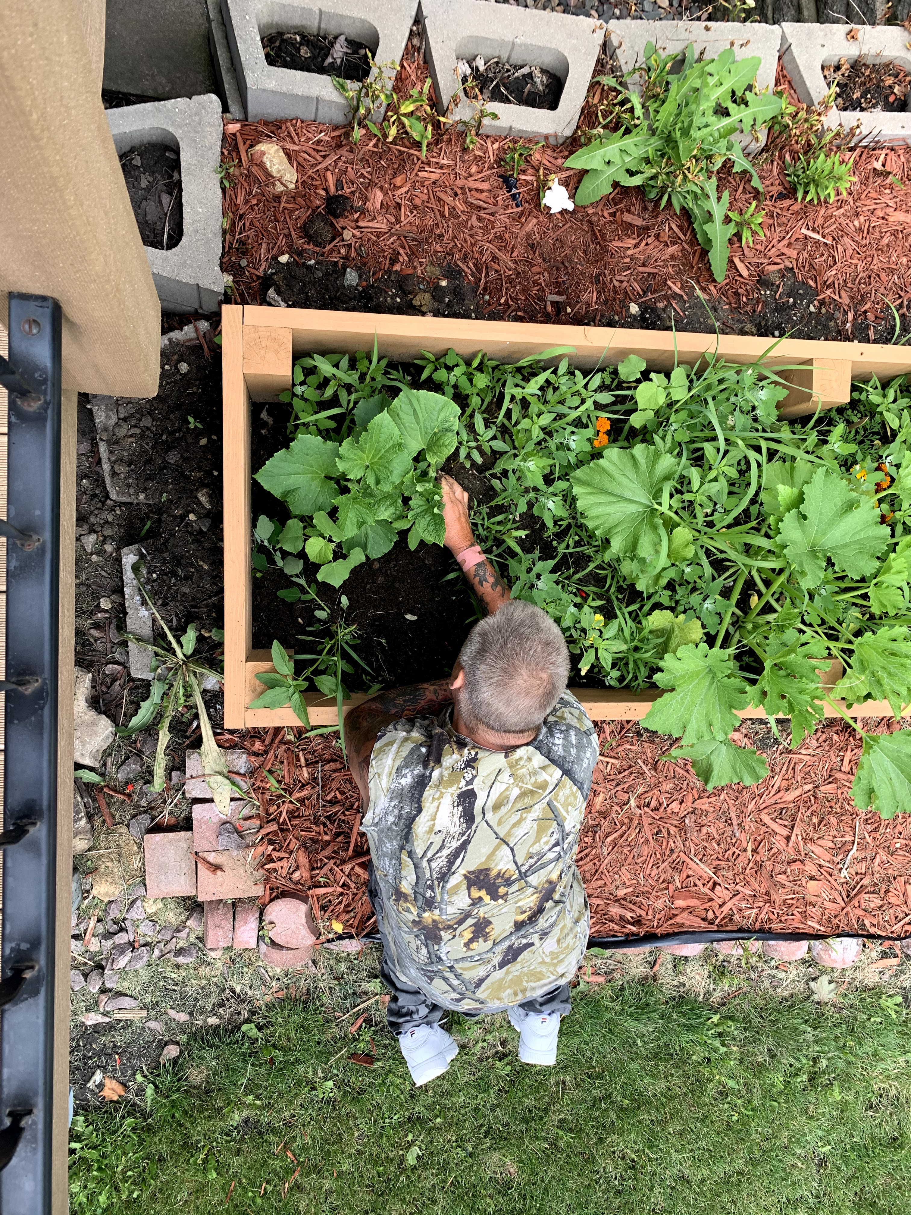 Tending to the vegetables