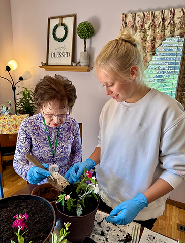 planting