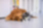 RSshutterstock_792469825.jpg