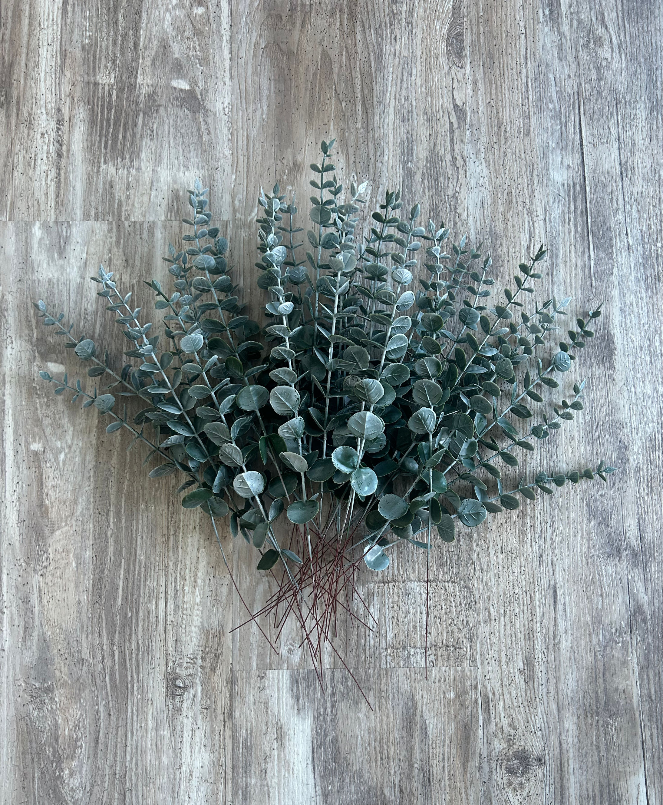 14" Eucalyptus Stems (36)
