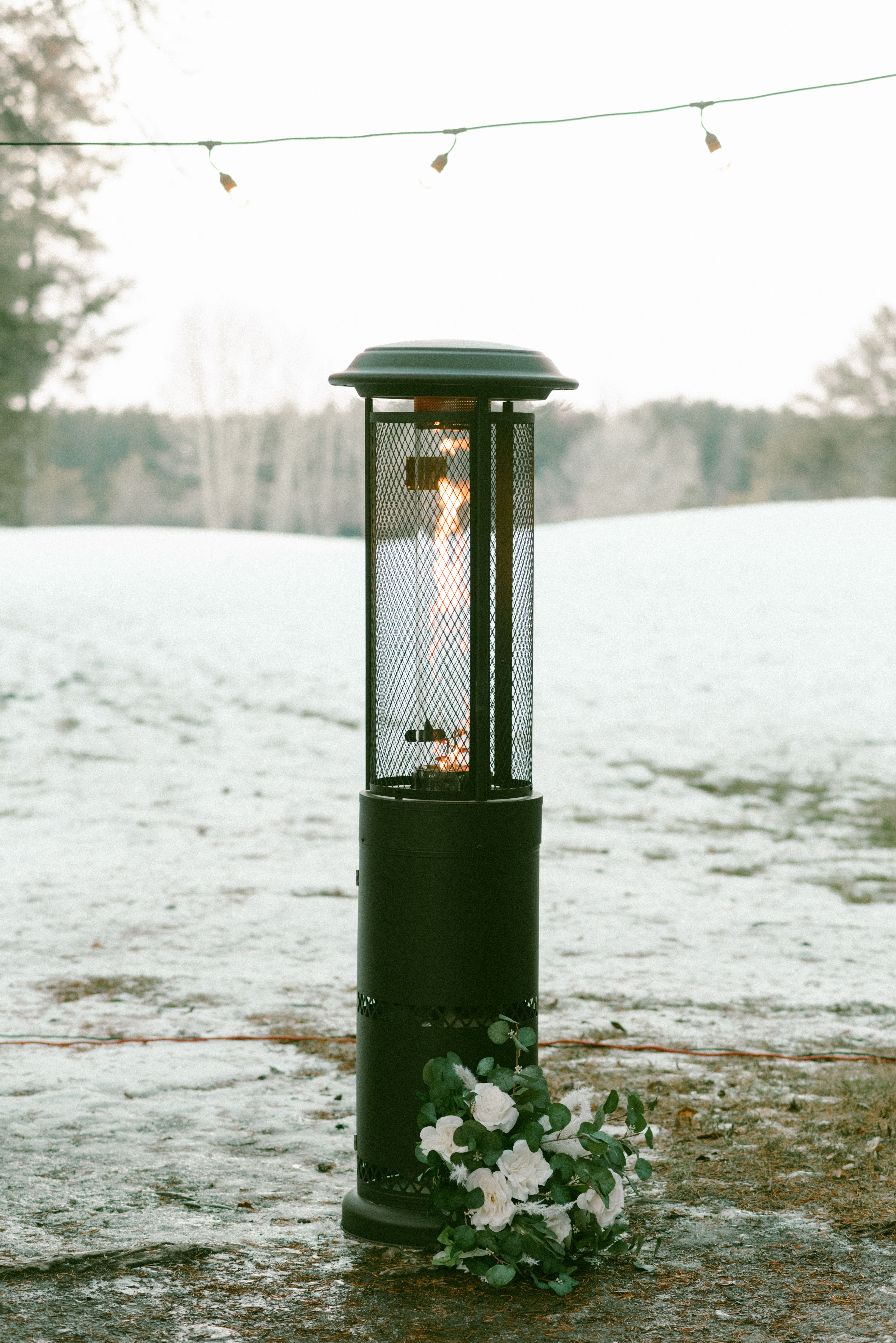 Patio Heaters (2)  +$150