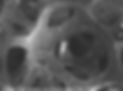 Active Nanoparticle on Substrate
