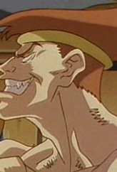 Adon 1.jpg