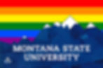 2016 MSU Big Sky Pride Banner Design.jpg