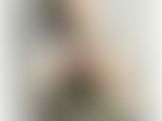 The Gallery at Lakeland (Kirtland, Ohio)