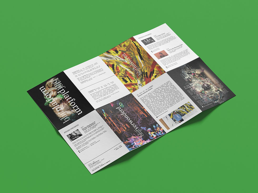 Map_Folded_Flyer_Mockup_1.jpg
