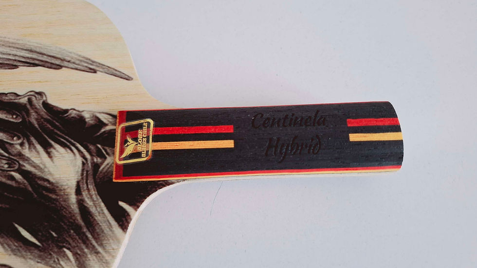 Miniatura: Centinela Hybrid