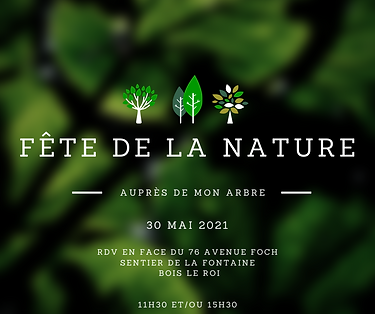 NATURE (2).png