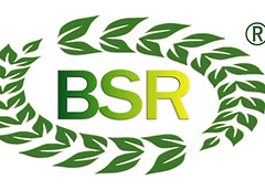 logo1.jpg