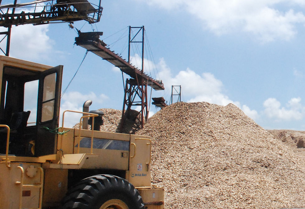 Dam go woodchip.jpg