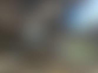 Palestra internacional reforça debate sobre gestão de resíduos