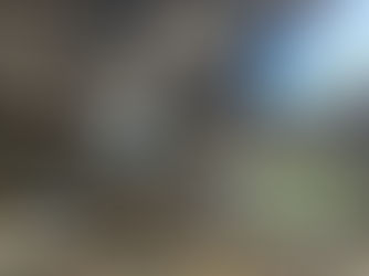 Palestra internacional reforça debate sobre gestão de resíduos